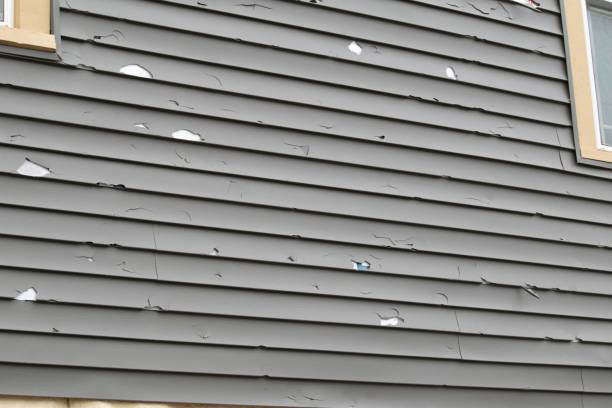 Best Custom Siding Design  in Brimfield, OH