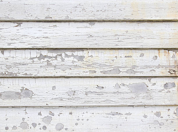 Best Siding Painting and Refinishing  in Brimfield, OH